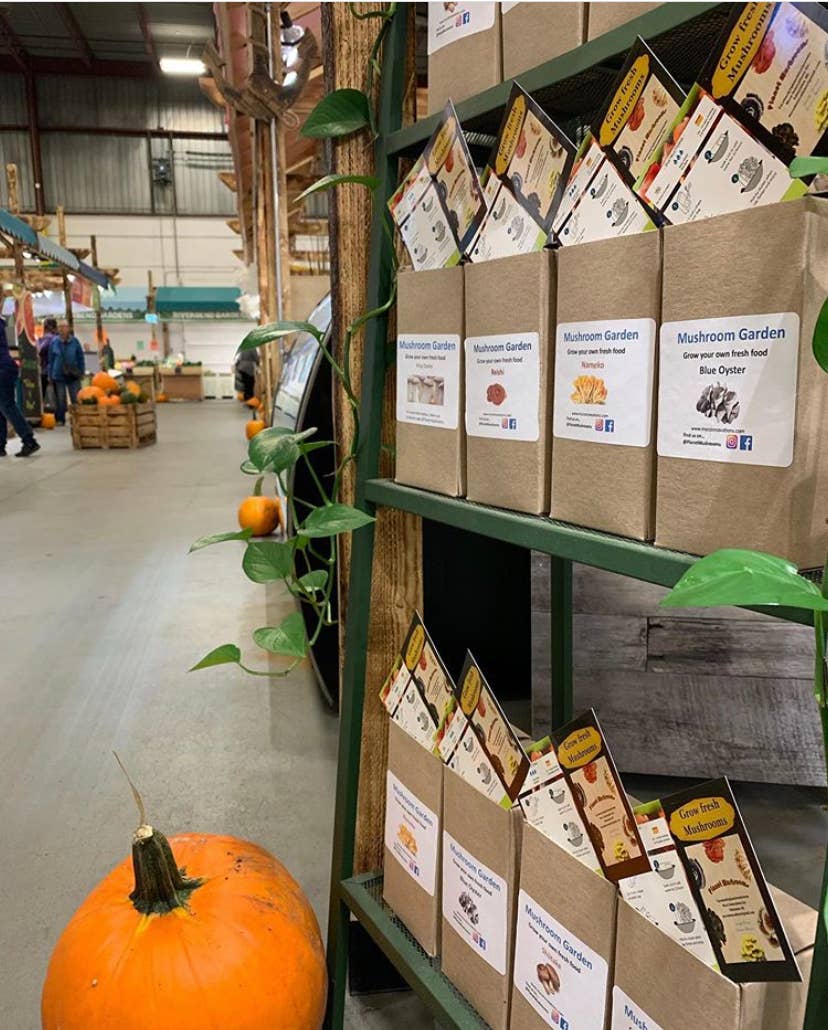 Grow kits Value Pack 