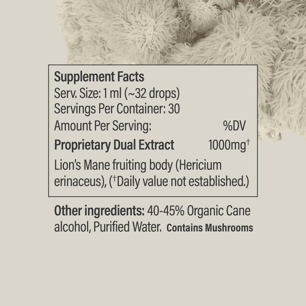 Lion’s Mane Tincture
