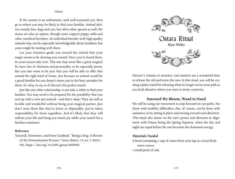 Llewellyn's 2027 Sabbats Almanac