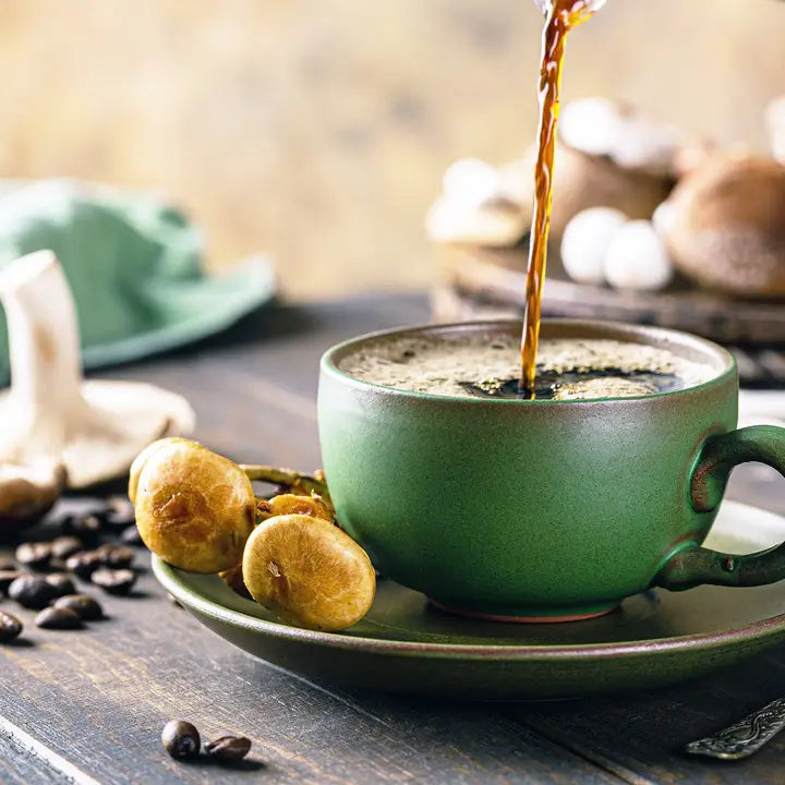 Mushroom Coffee/Match/Fallout bundle