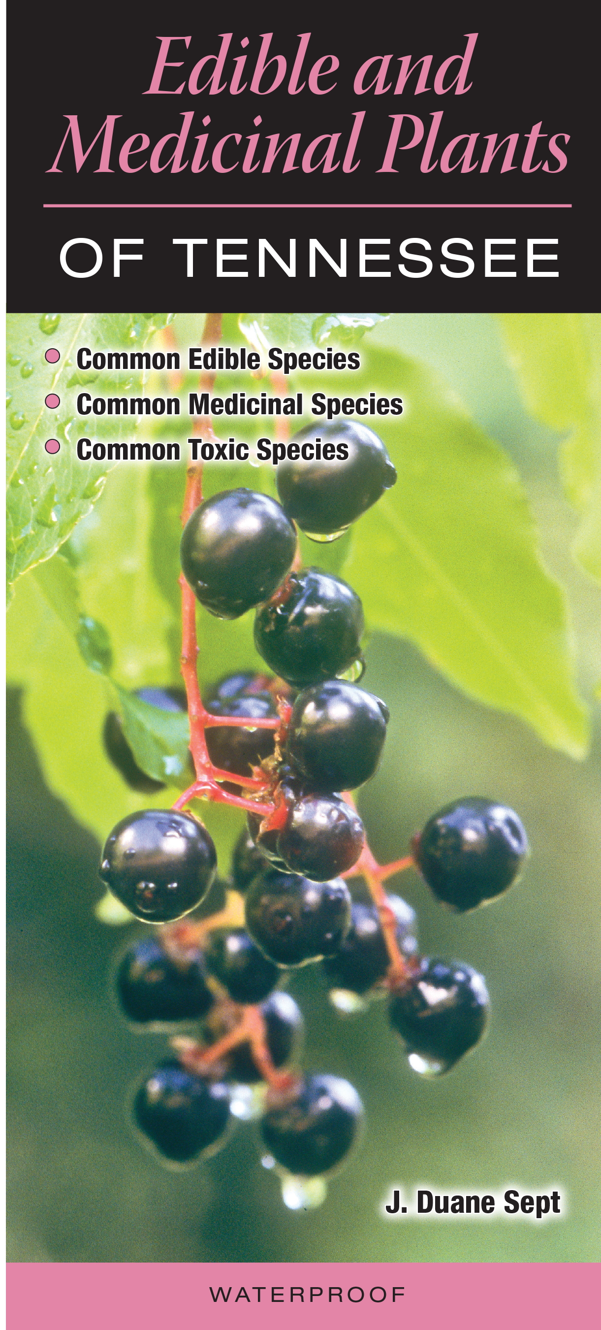 Edible and Medicinal Plants of Tennessee