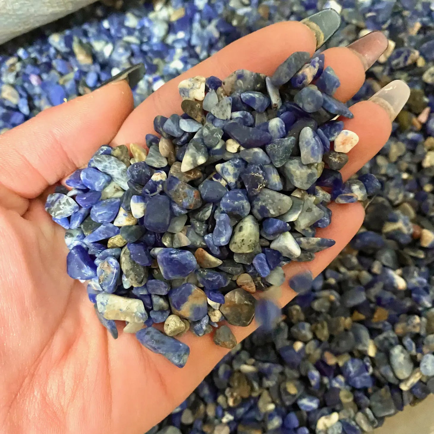 Crystal Chips Sodalite