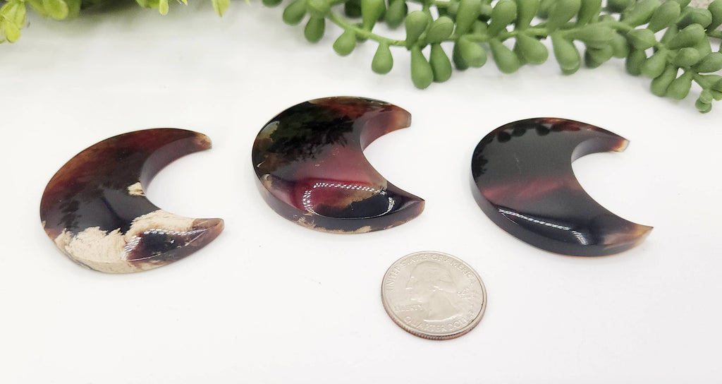 Amber Moon Shape (Approximately 50mm) 100% Natural Amber