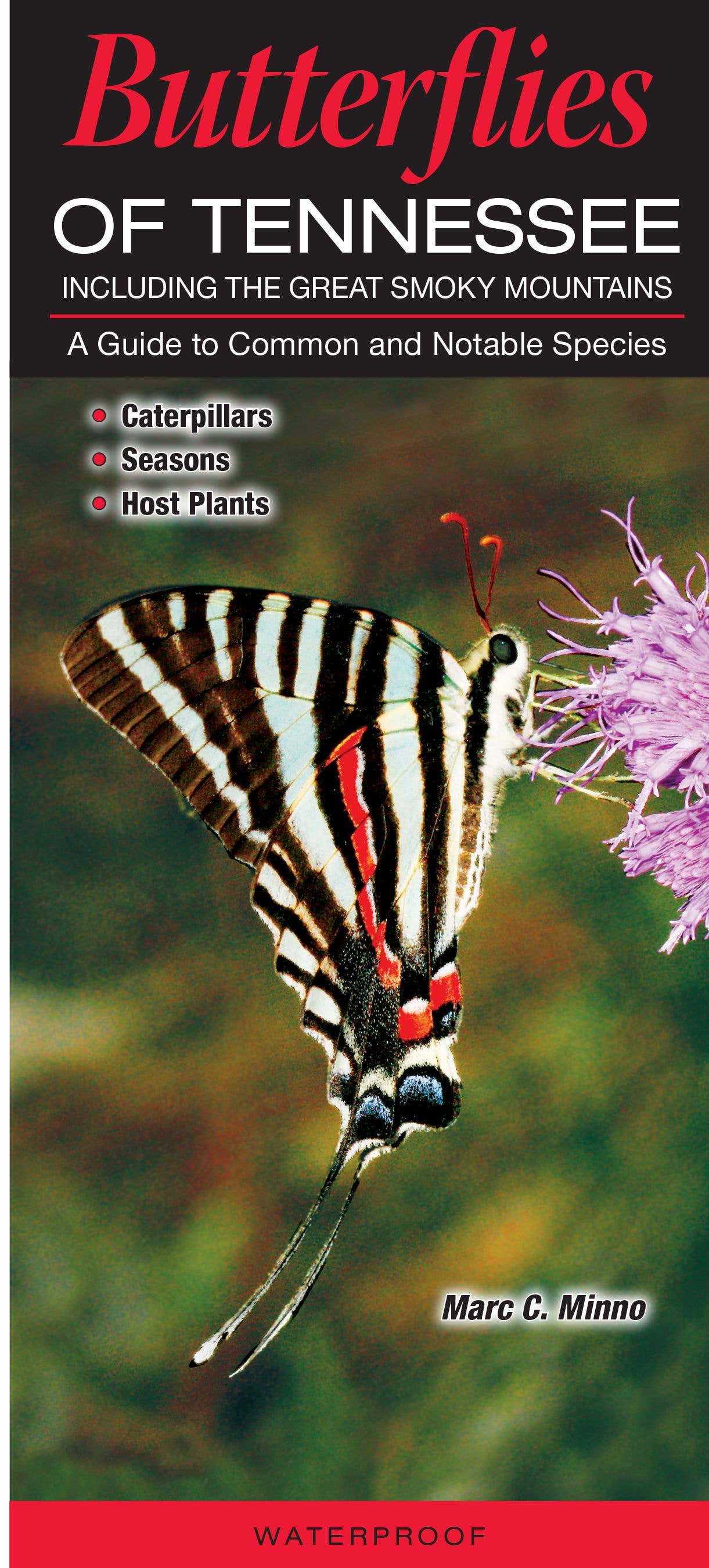 Butterflies of Tennessee