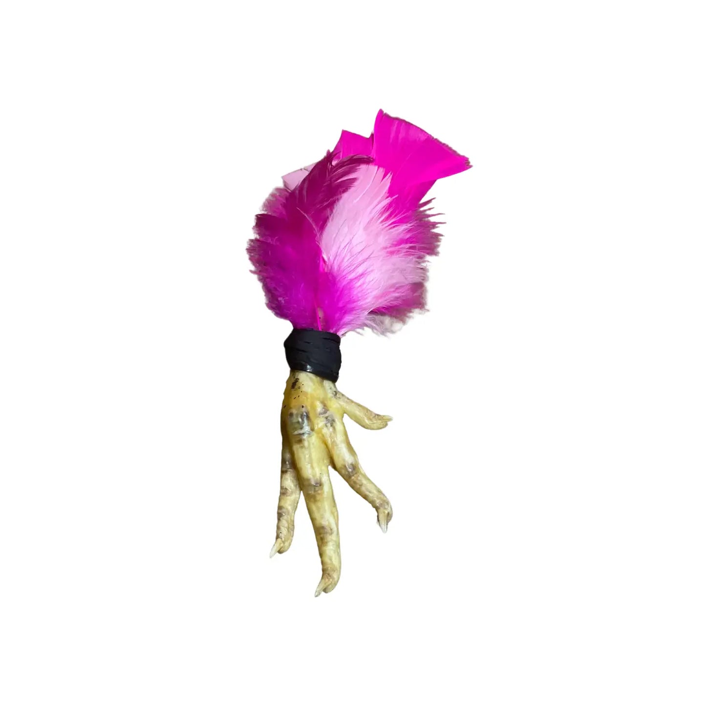 Hoodoo Chicken Foot Amulet / Pink