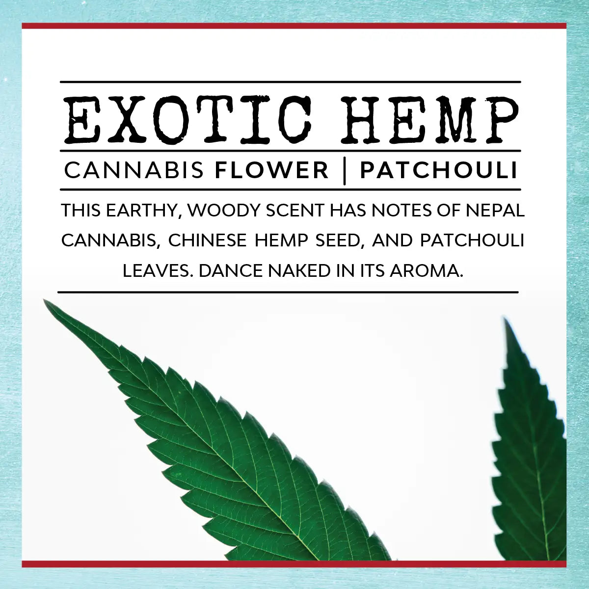 Green Witch Candle – Exotic Hemp | Malicious Women Candle Co.