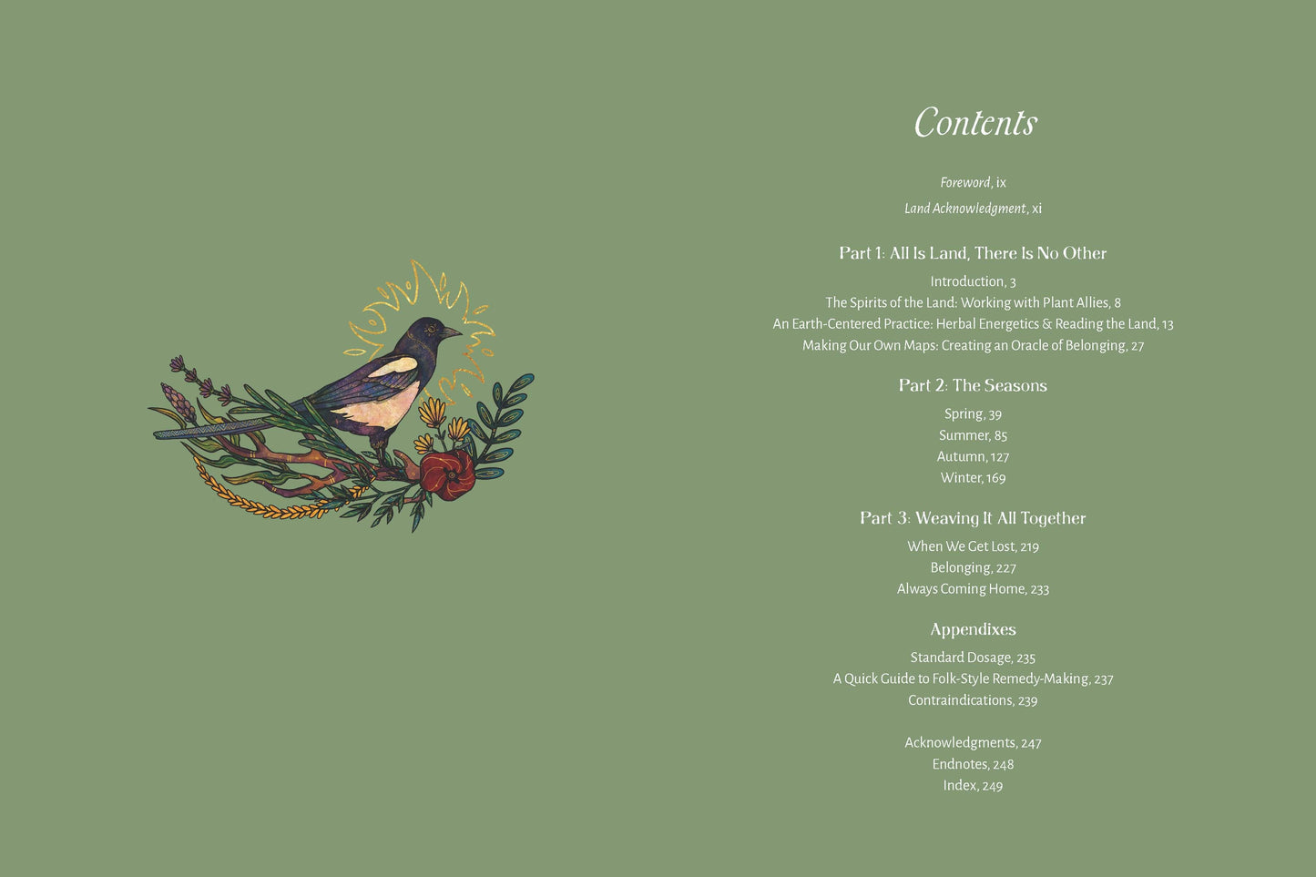 The Apothecary of Belonging: Seasonal Rituals & Herbalism