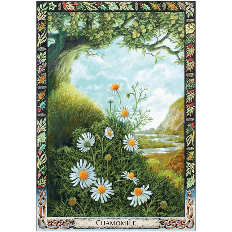 Druid Plant Oracle