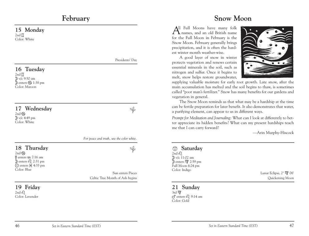 Llewellyn's 2027 Witches' Datebook: Daily Magic