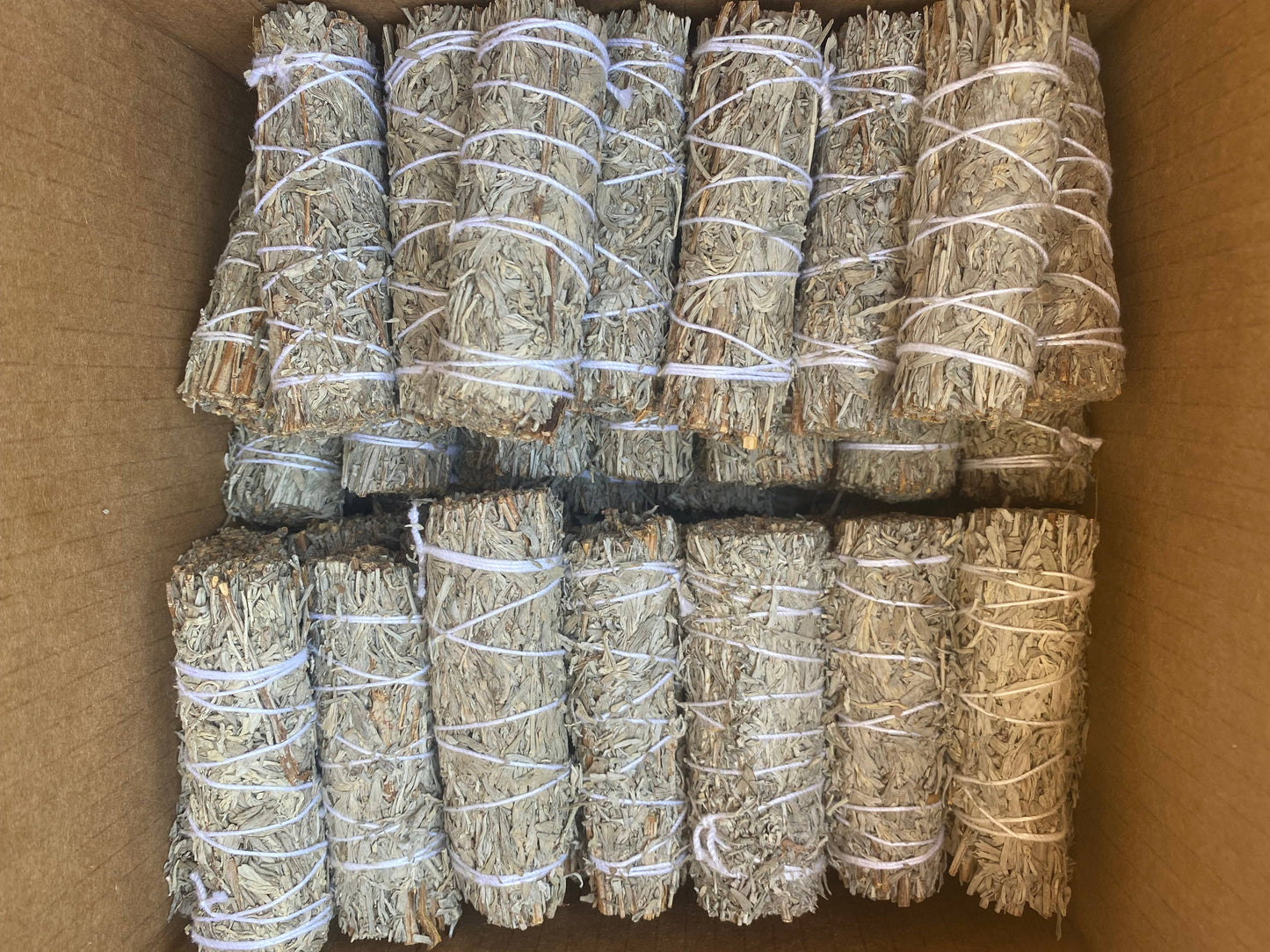 Blue Sage Bundle