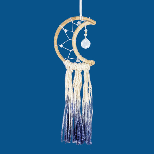 Little Blue Moon Wall Decor
