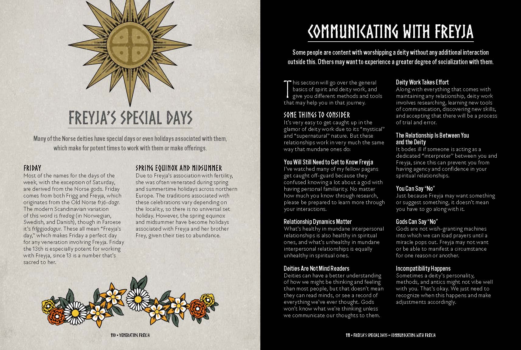 Freyja: An Illustrated Guide to the Norse Goddess of Magic, Love & War