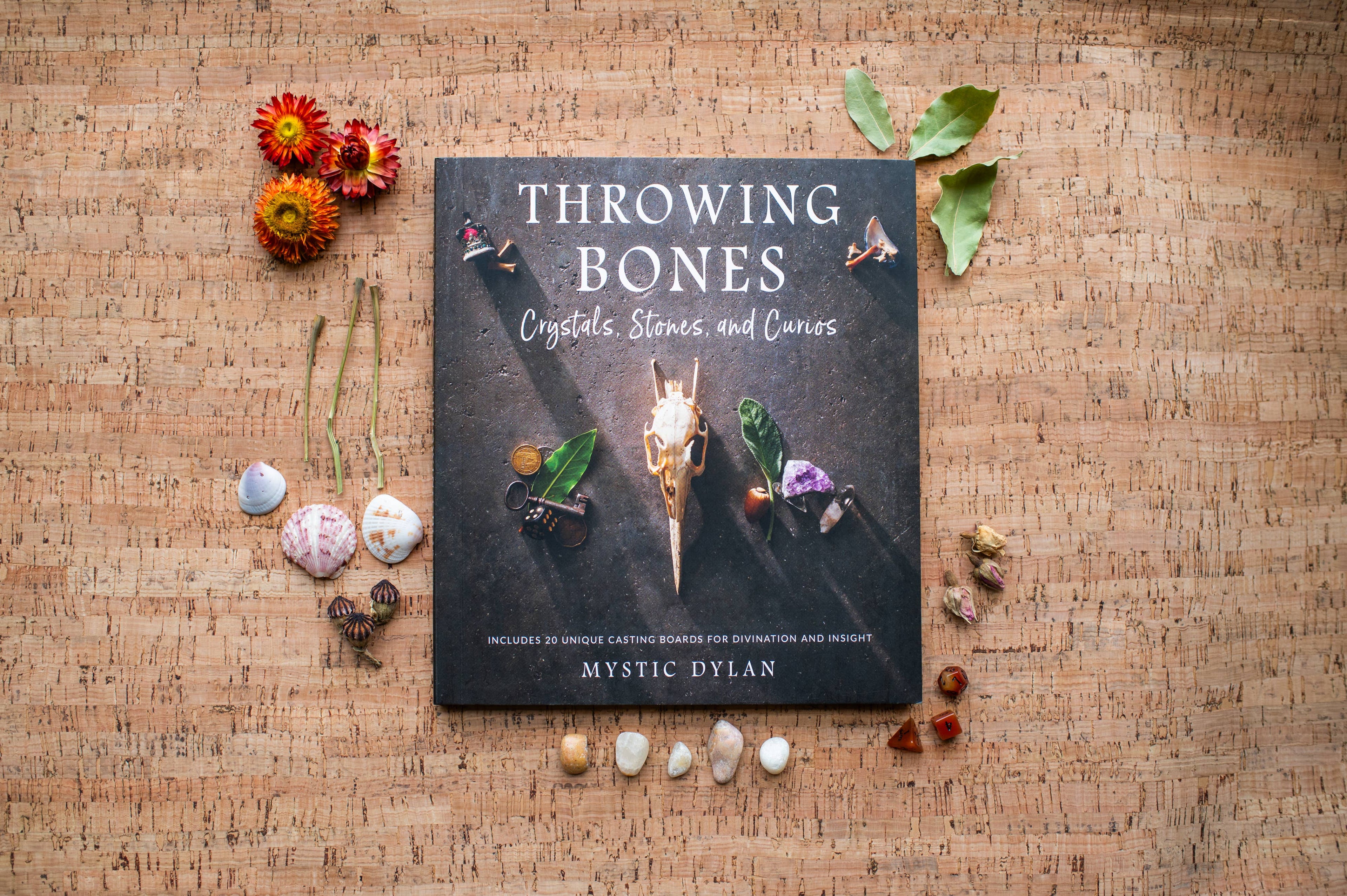 Throwing Bones: Fortune Casting with Crystals, Stones & Curios by Mystic Dylan