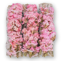 Pink Sinuata Flower & White Sage Smudge Bundle – 4" | Moon Energy, Compassion & Cleansing