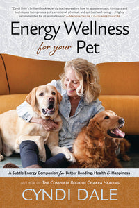 Energy Wellness For Your Pet