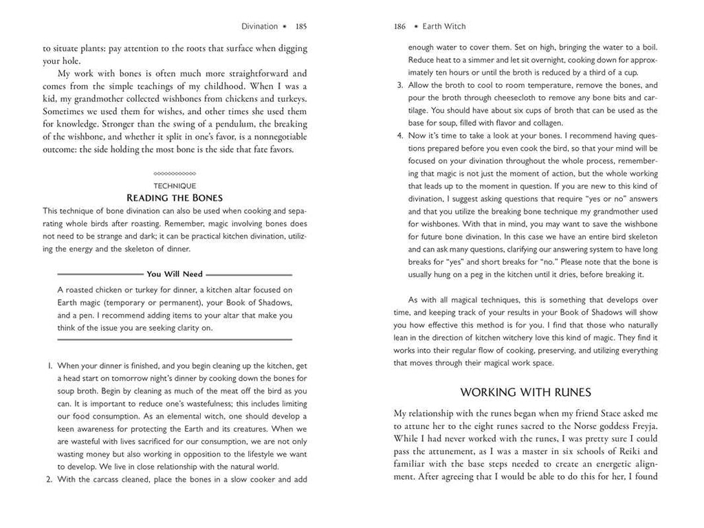 Path of Elemental Witchcraft by Salicrow - Working with Water, Earth, Air & Fire