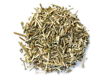 Vervain