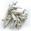 White Sage Incense
