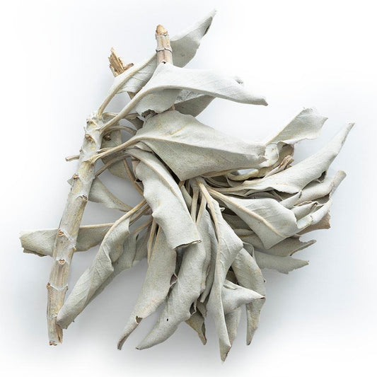 White Sage Incense