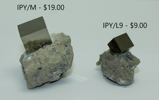 Iron Pyrite in Limestone Matrix