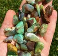 Chrysoprase Tumbled Stone – Love, Compassion & New Beginnings