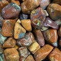 Petrified Wood Tumbled Stone - Ancient Wisdom, Grounding & Transformation