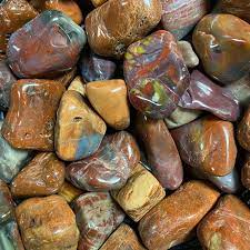 Petrified Wood Tumbled Stone - Ancient Wisdom, Grounding & Transformation