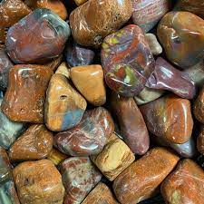 Petrified Wood Tumbles