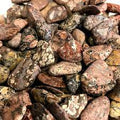 Leopard Skin Jasper Tumbled Stone - Polished Crystal for Strength & Healing
