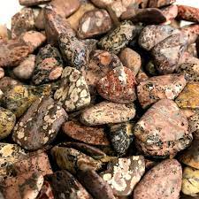 Leopard Skin Jasper Tumbled Stone - Polished Crystal for Strength & Healing