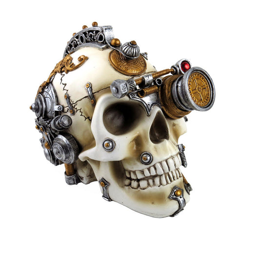 Erasmus Darwin Steam-Cerbrum Skull