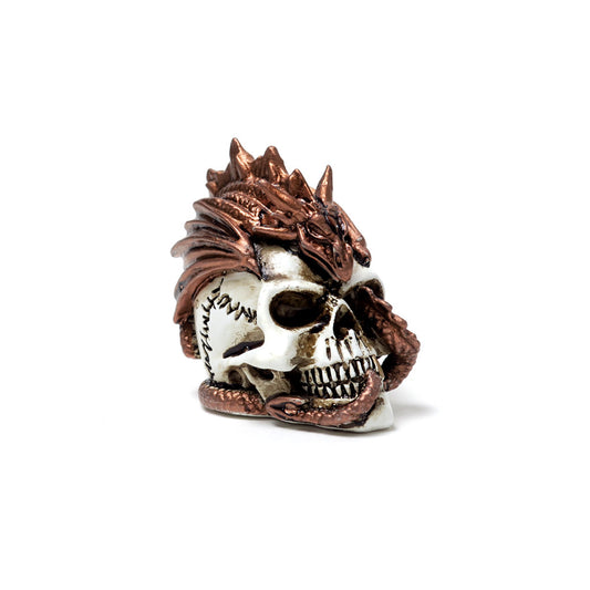 Dragon Keepers Skull