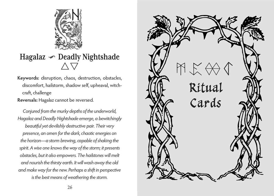 Runes and Roots Oracle by Nicolette Miele - Elder Futhark & Plant Magic Deck