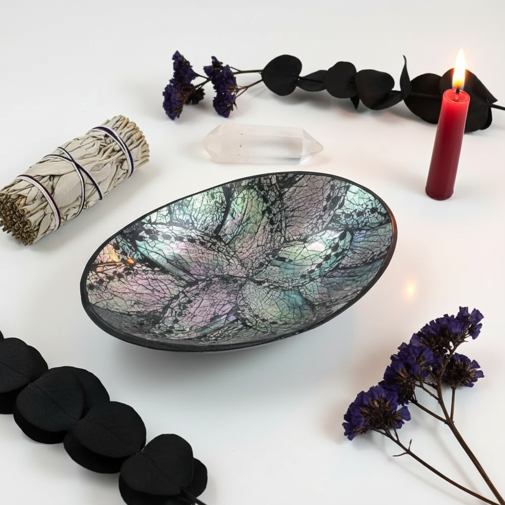 Abalone Shell Bowl Hero - Brighter