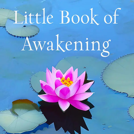 The Little Book of Awakening