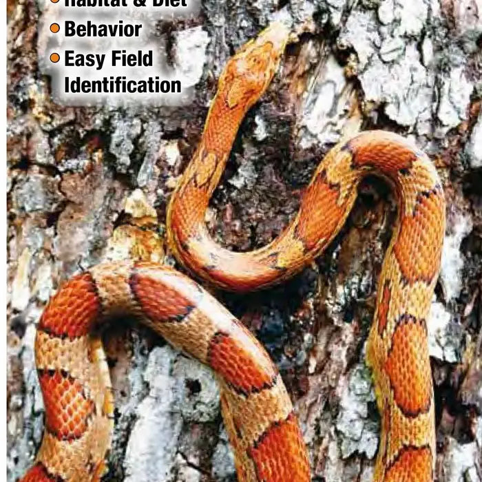 Snakes of Kentucky Fold Out Pamphlet