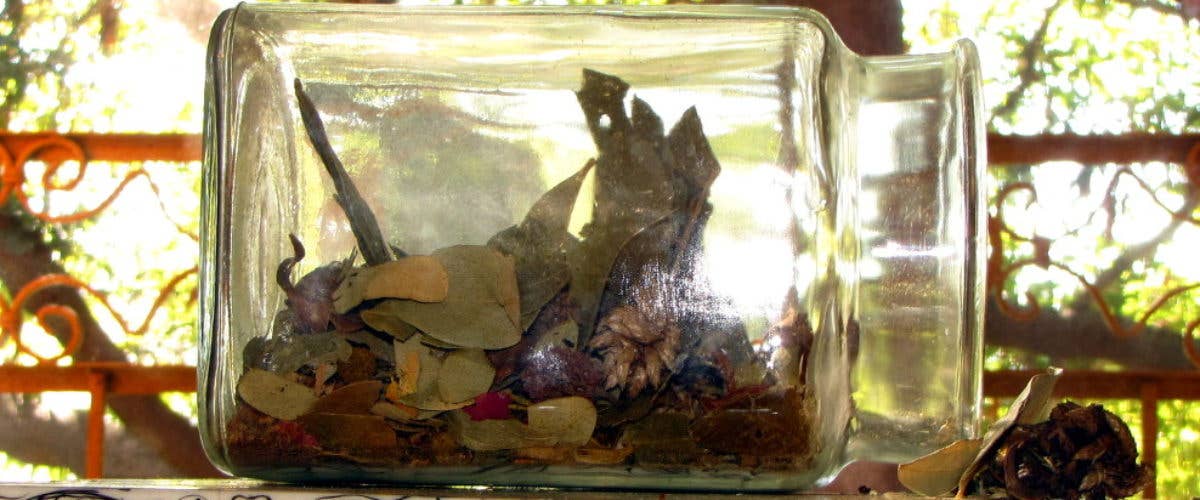 Force an Enemy to Move | Herbal Helper Ritual Kit