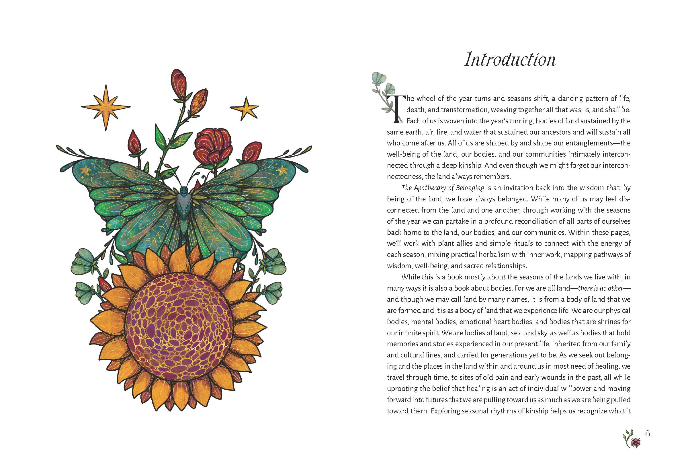 The Apothecary of Belonging: Seasonal Rituals & Herbalism for Connection