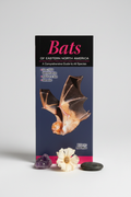 Bats of Eastern North America Hero