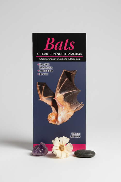 Bats of Eastern North America Hero