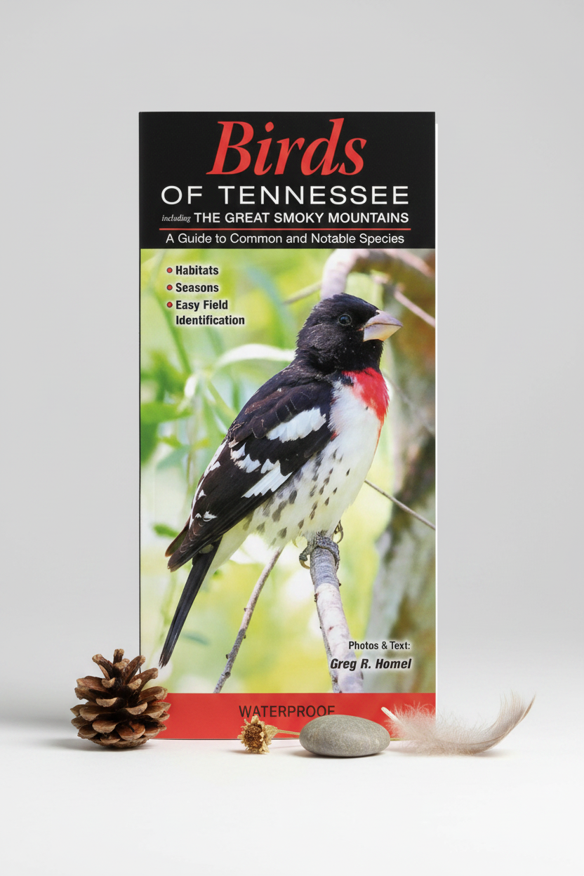 Birds of Tennessee Hero