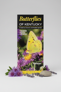Butterflies of Kentucky Hero