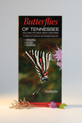Butterflies of Tennessee Hero