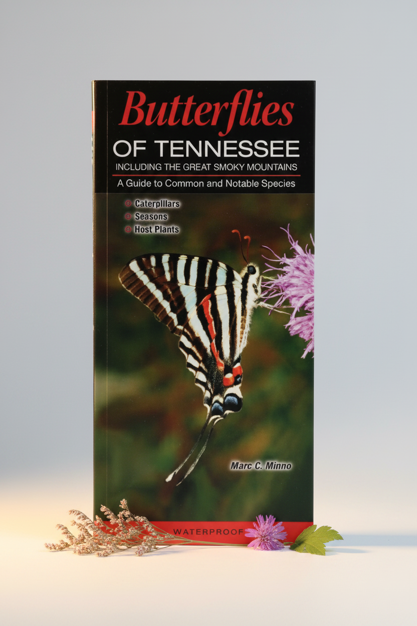 Butterflies of Tennessee Hero