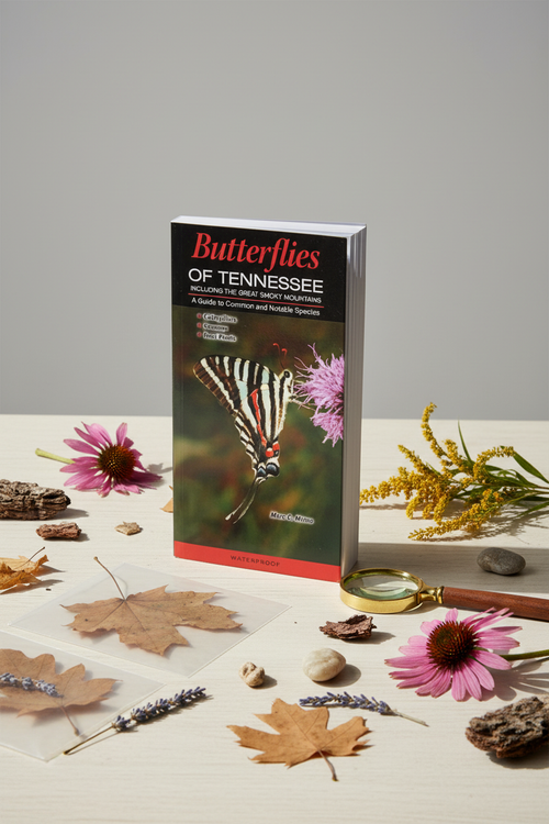 Butterflies of Tennessee Lifestyle