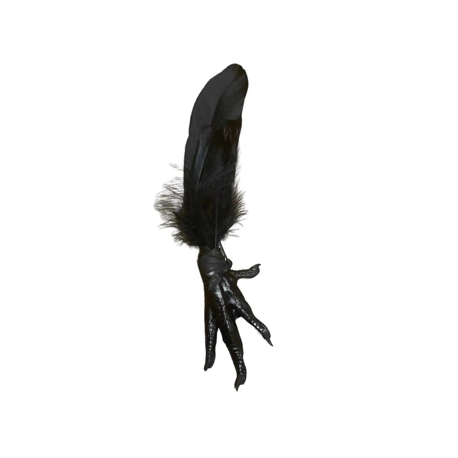 Chicken Foot Amulet / Black