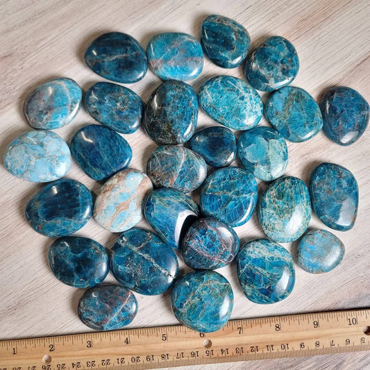 .5 Kg Blue Apatite Flat Palm Stone ~ Bulk Crystals