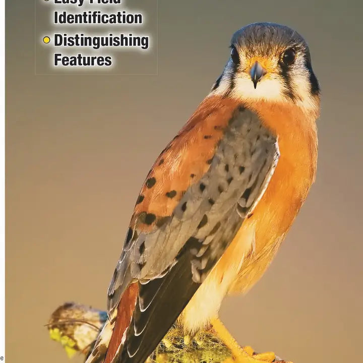 Raptors of Eastern North America - Fold-Out Field Guide with 120+ Photos