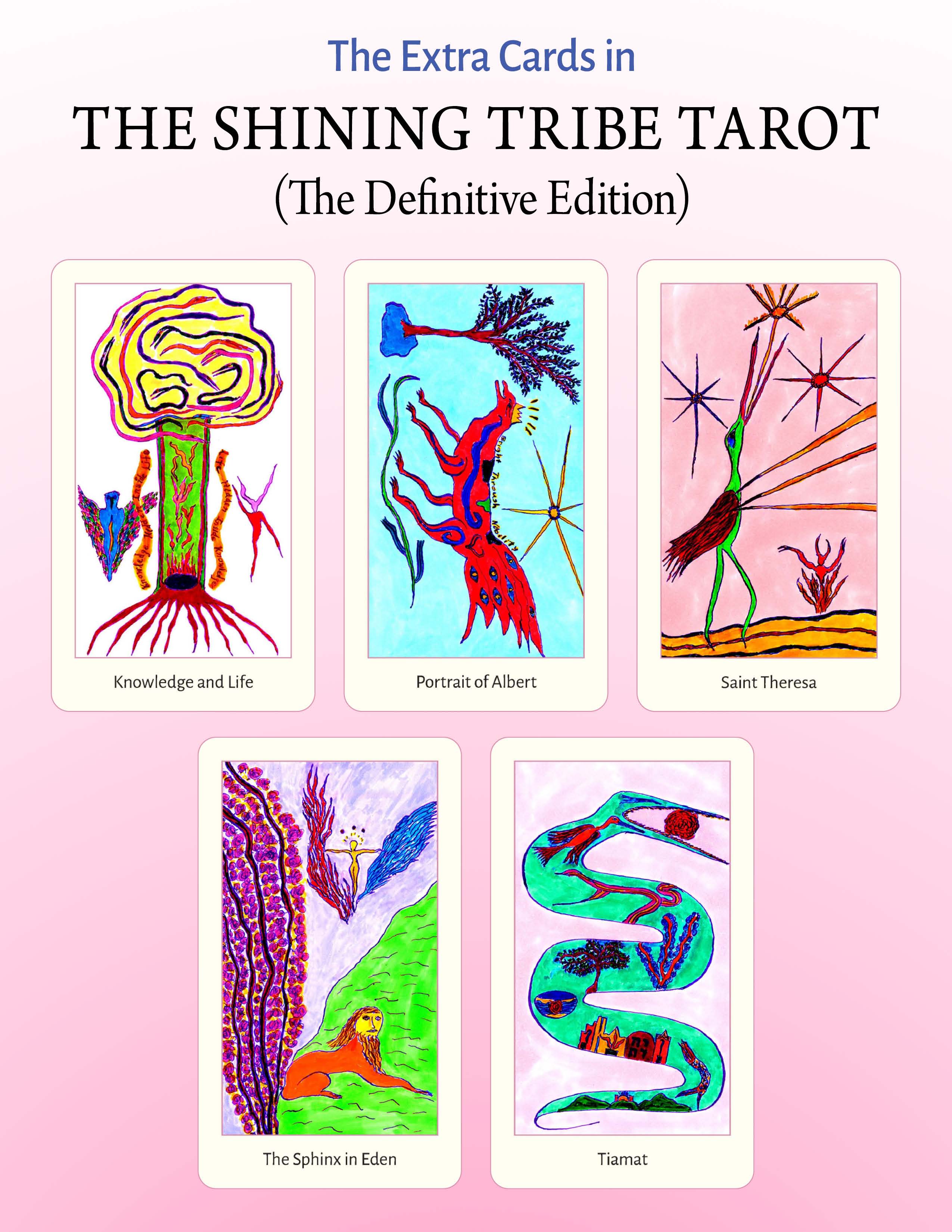 The Shining Tribe Tarot - 83 Cards & 272-Page Book by Rachel Pollack