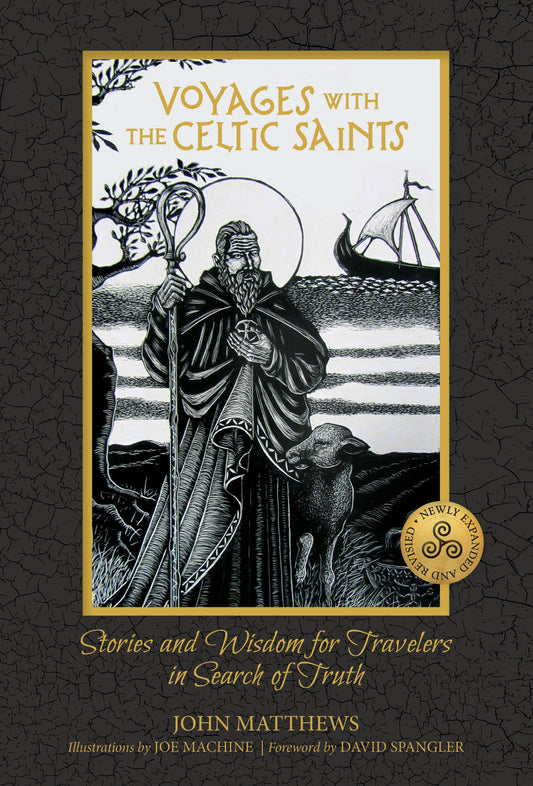 Voyages with the Celtic Saints: Stories and Wisdom